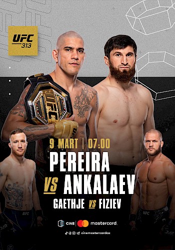 UFC 313: Pereira vs Ankalaev